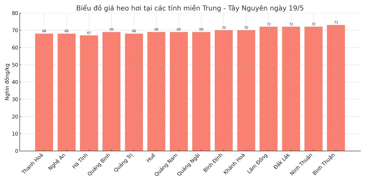 Biểu đồ giá heo hơi tại các tỉnh miền Trung - Tây Nguyên ngày 19/5.