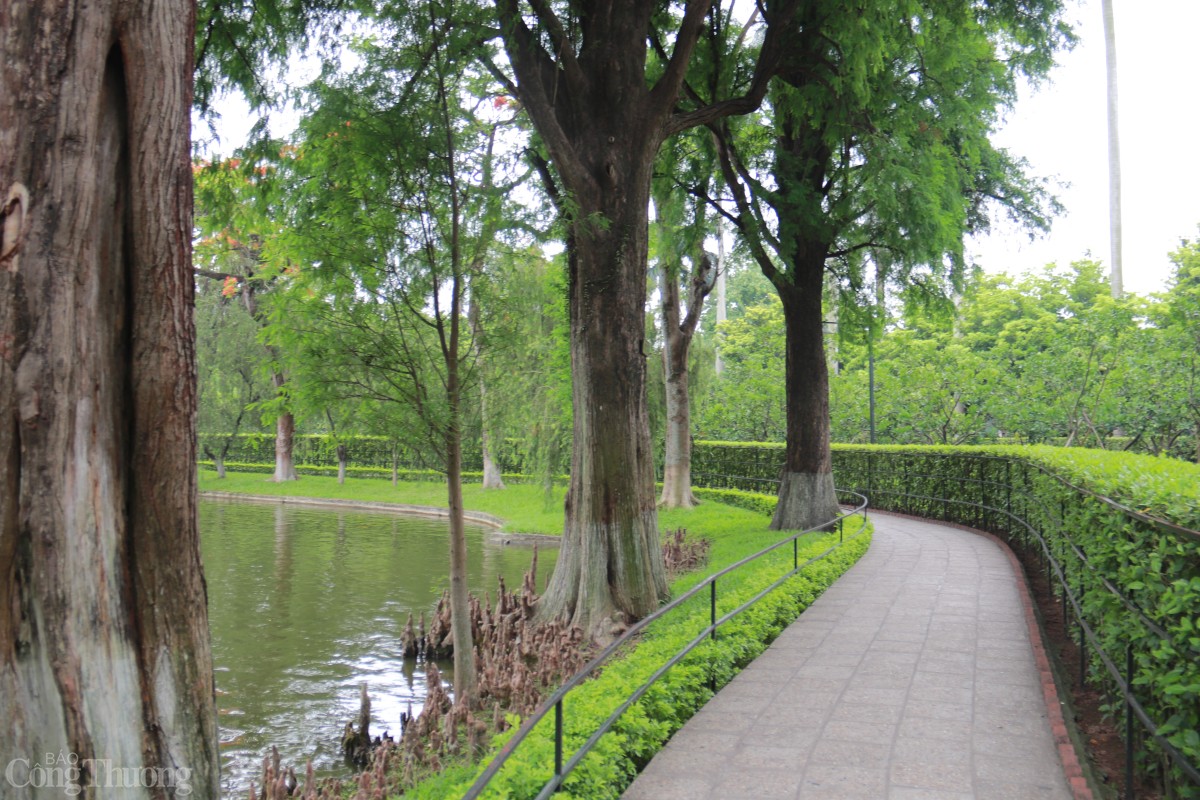 Không gian xanh mưởt của Khi Di tích Chủ tịch Hồ Chí Minh. Ảnh: Hoa Quỳnh