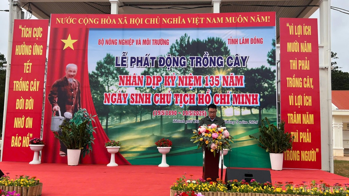phát động trồng cây