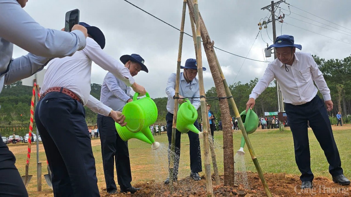 phát động trồng cây