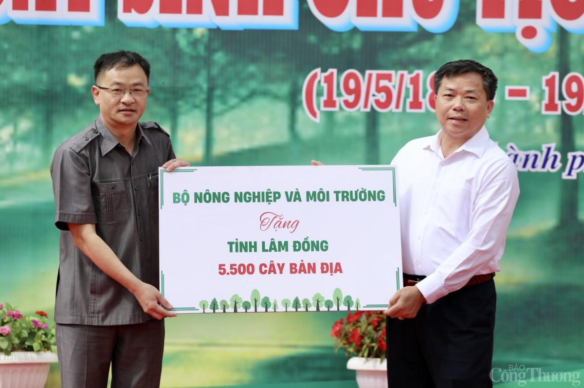 phát động trồng cây