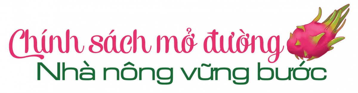 Longform | Thanh long ‘nở hoa’ trên đất dốc