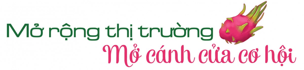 Longform | Thanh long ‘nở hoa’ trên đất dốc Longform | Thanh long ‘nở hoa’ trên đất dốc
