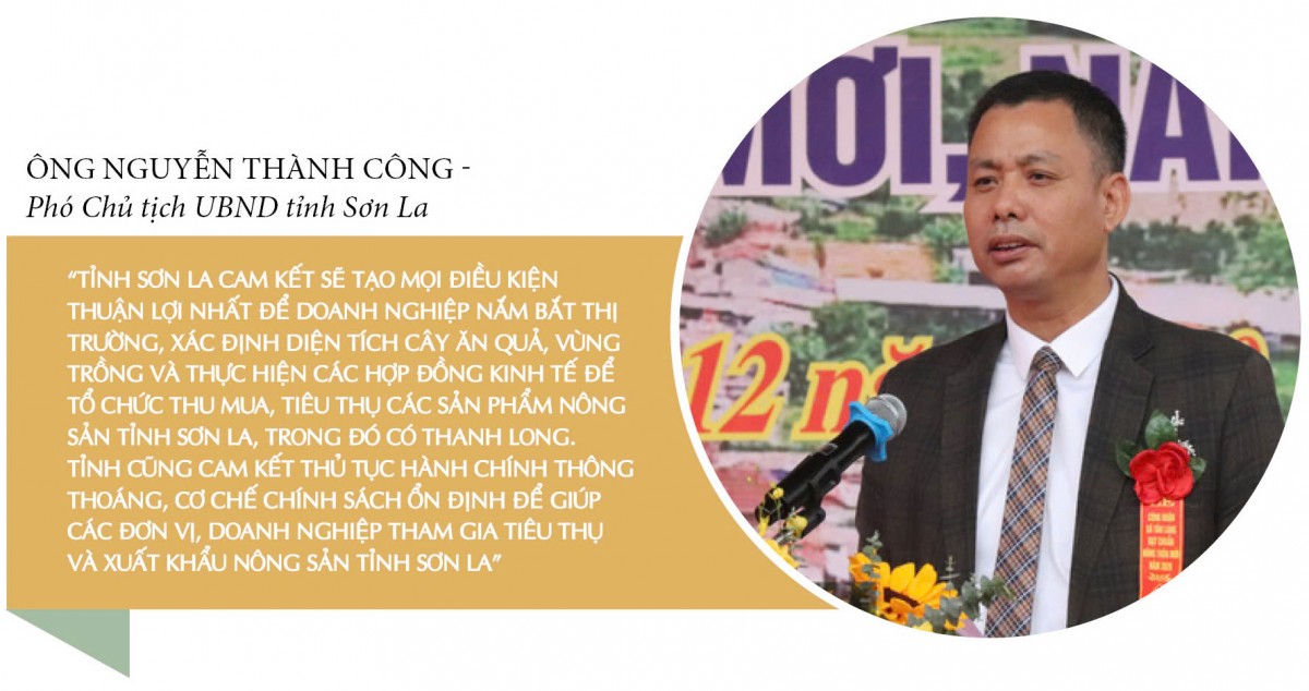 Longform | Thanh long ‘nở hoa’ trên đất dốc