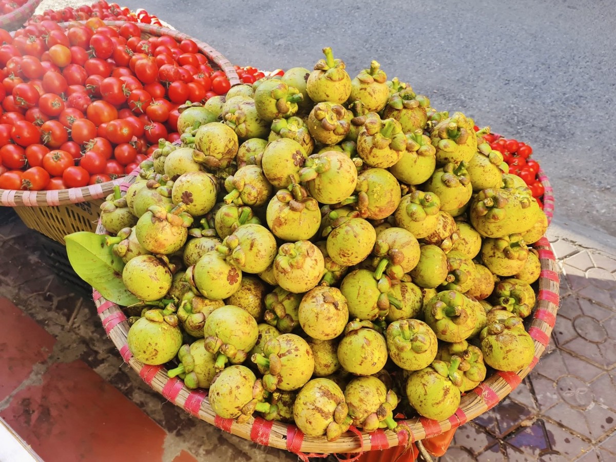 Măng cụt xanh đang góp phần làm phong phú thêm lựa chọn ẩm thực mùa hè của người dân Hà Nội