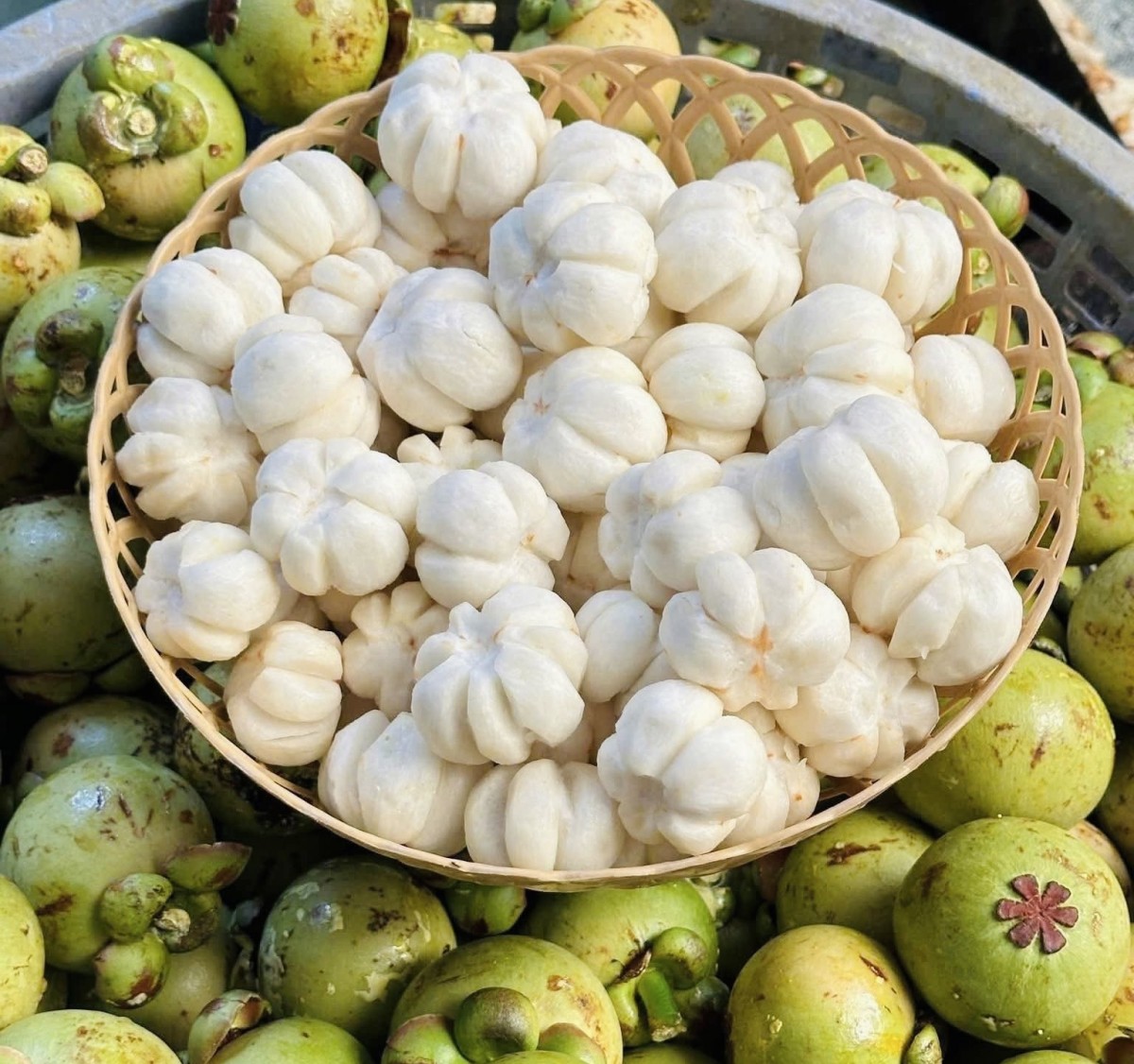 để có được 1kg ruột măng cụt dùng làm gỏi, phải gọt đến 5-6kg măng cụt nguyên vỏ