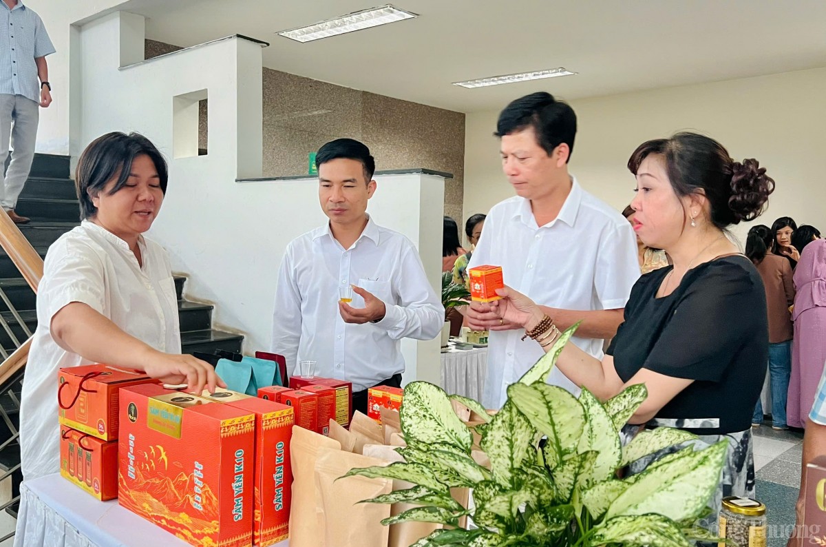 Gia Lai và Ninh Bình kết nối cung cầu hàng hoá