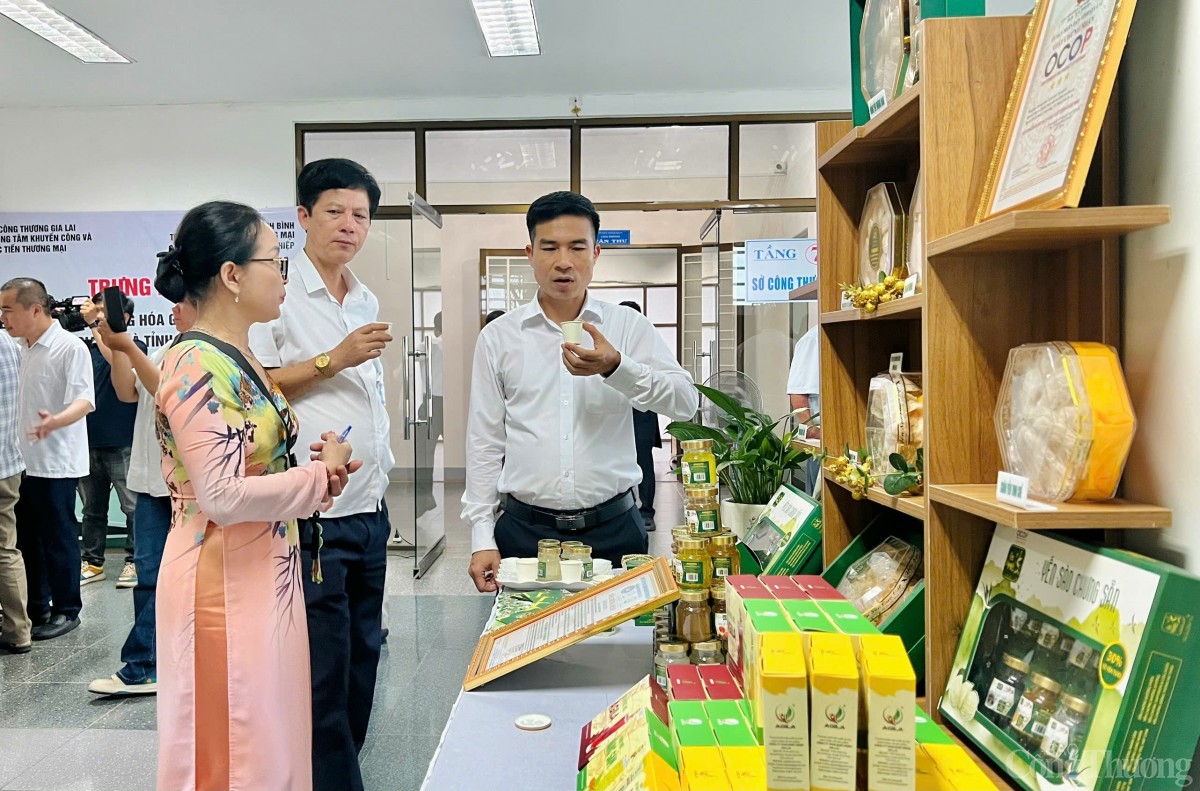 Gia Lai và Ninh Bình kết nối cung cầu hàng hoá