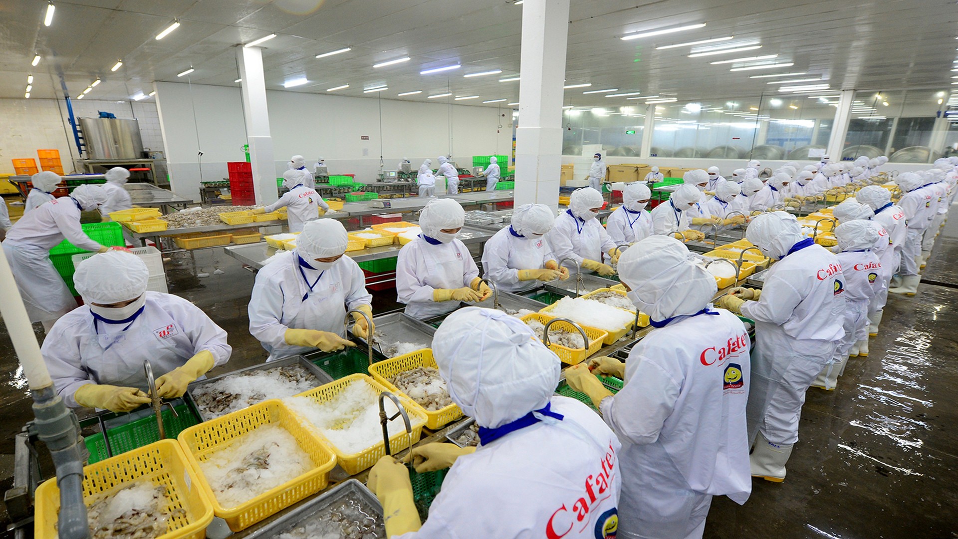 Philippines Philippines