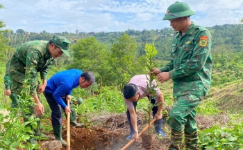 Tặng 10.000 cây mắc ca cho người dân nghèo Đắk Nông