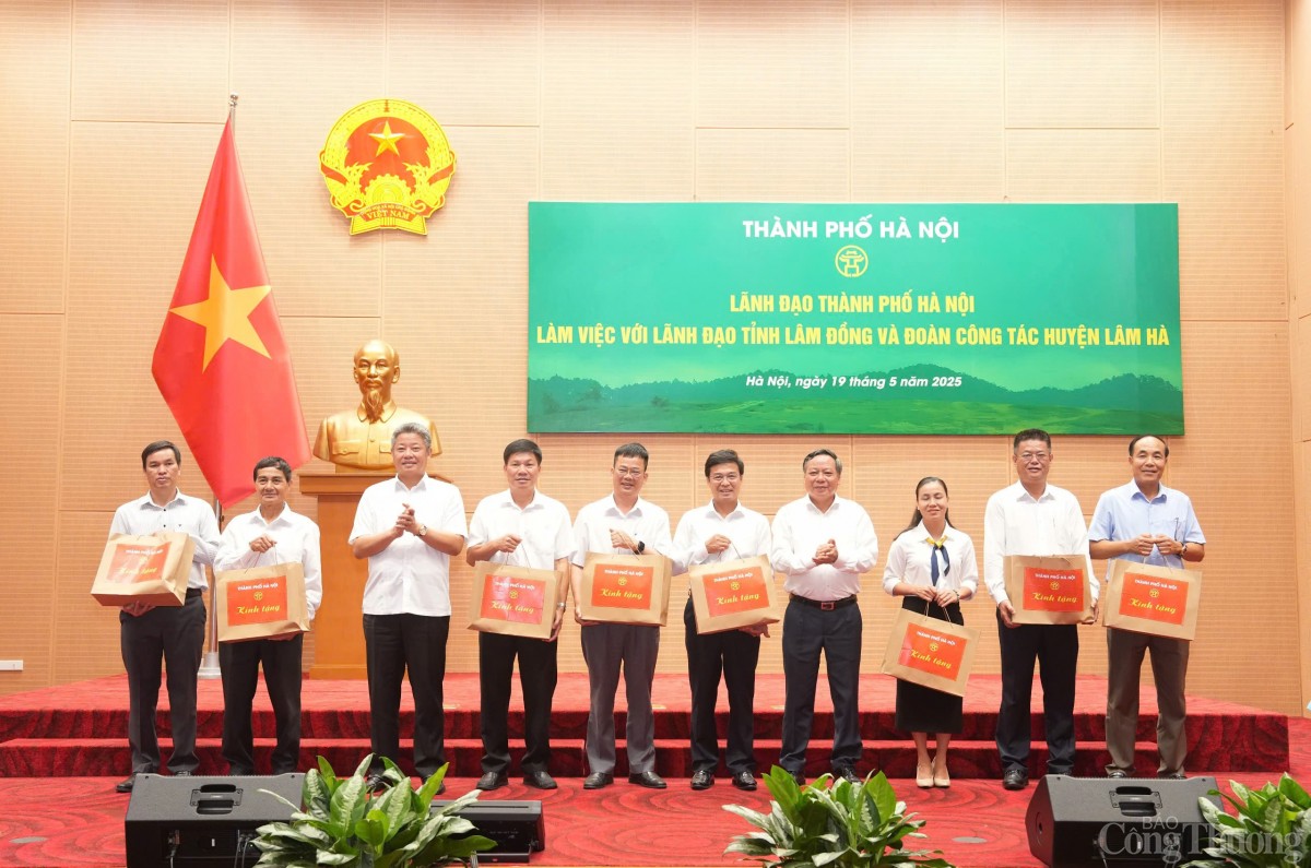 thành phố Hà Nội tỉnh Lâm Đồng thành phố Hà Nội tỉnh Lâm Đồng