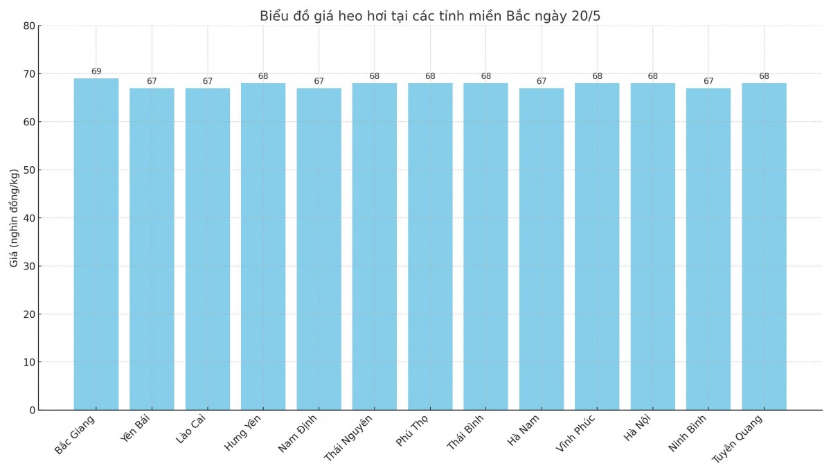 Biểu đồ giá heo hơi tại các tỉnh miền Bắc ngày 20/5.