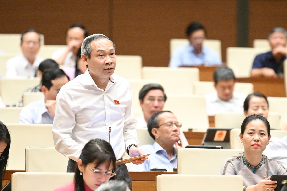 Đại biểu Phan Đức Hiếu - Đoàn ĐBQH tỉnh Thái Bình Đại biểu Phan Đức Hiếu - Đoàn ĐBQH tỉnh Thái Bình