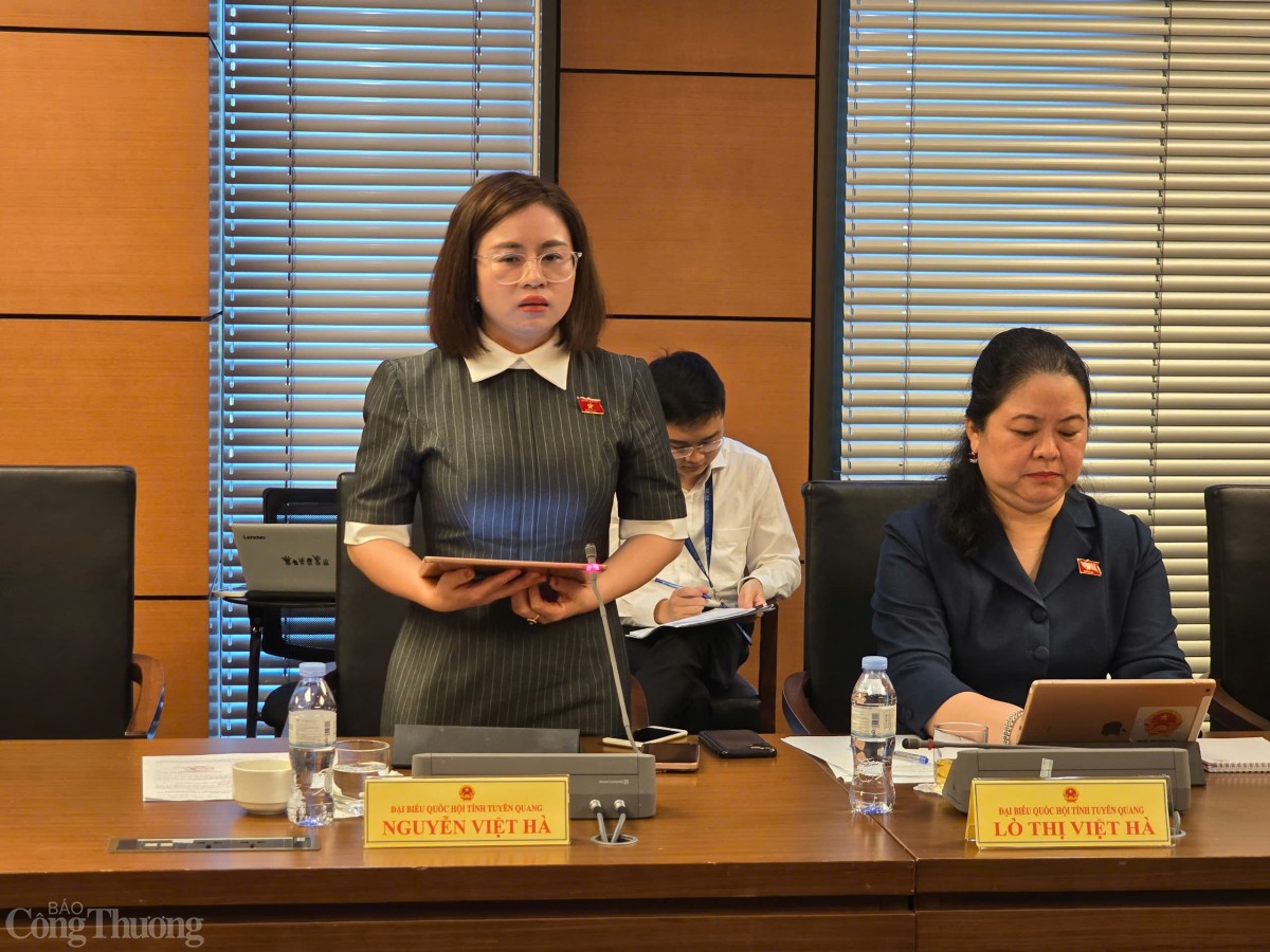 Nguyễn Việt Hà Nguyễn Việt Hà