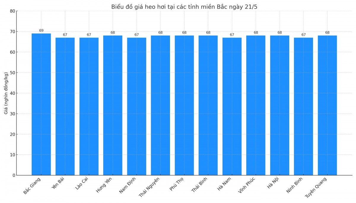 Biểu đồ giá heo hơi tại các tỉnh miền Bắc ngày 21/5.