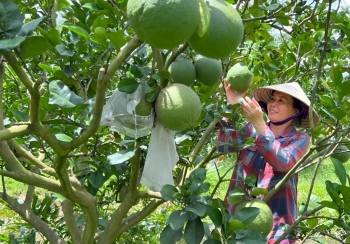 Ứng dụng công nghệ số nâng tầm sản phẩm nông thôn mới