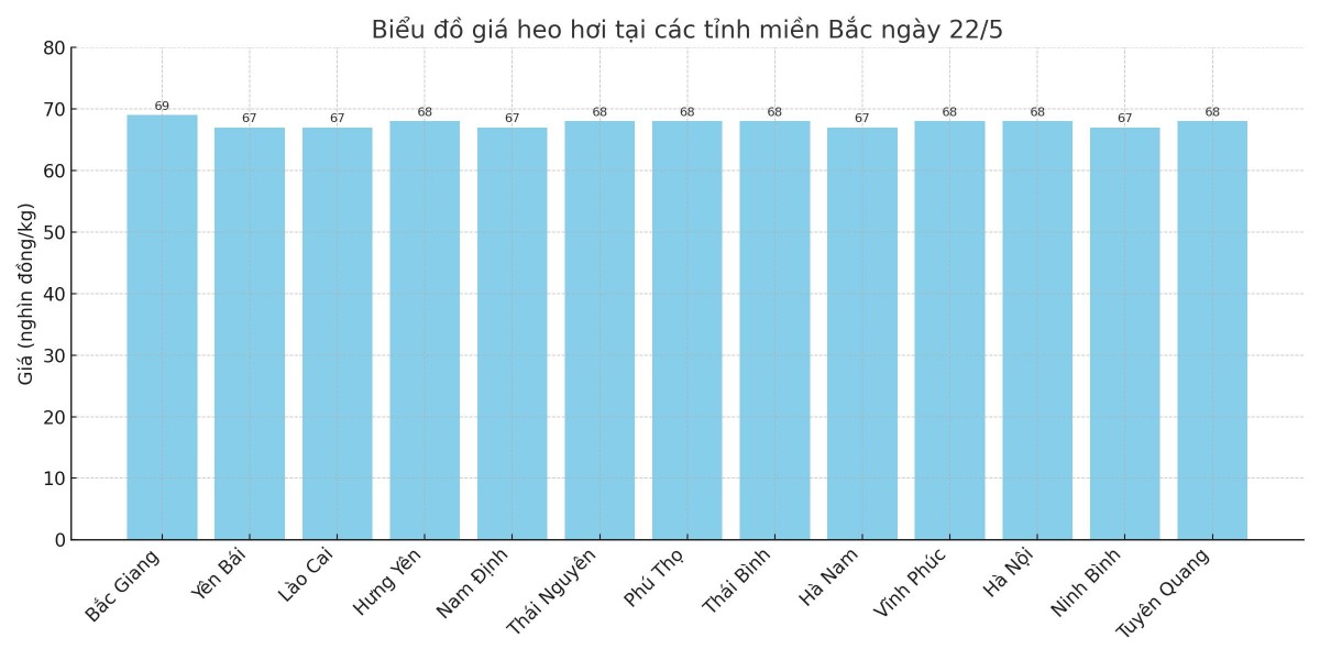 Biểu đồ giá heo hơi tại các tỉnh miền Bắc ngày 22/5. Biểu đồ giá heo hơi tại các tỉnh miền Bắc ngày 22/5.