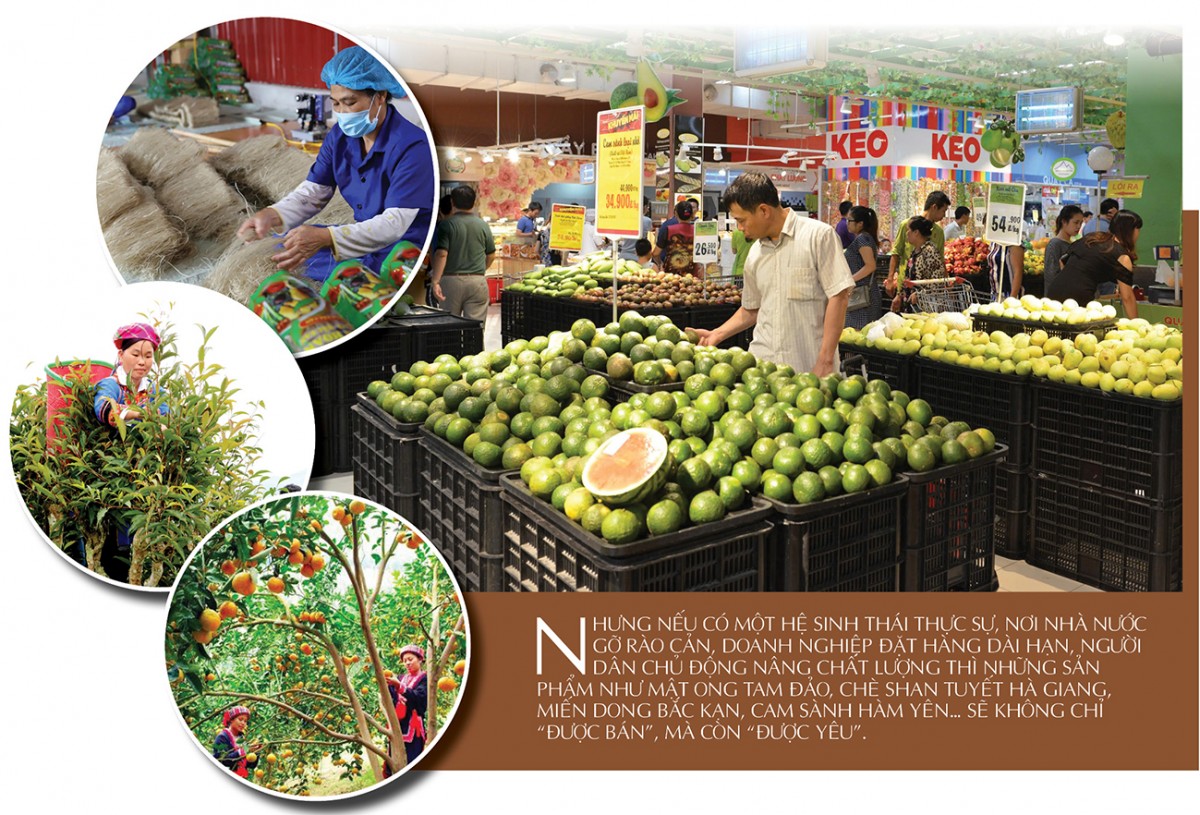 Longform | Thức quà của đại ngàn và giấc mơ chạm vào lòng tin yêu của người tiêu dùng thành phố Longform | Thức quà của đại ngàn và giấc mơ chạm vào lòng tin yêu của người tiêu dùng thành phố