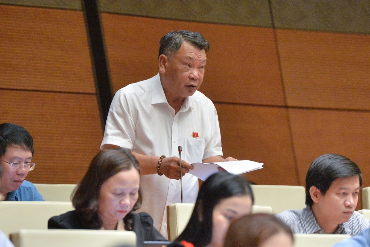 Đại biểu Nguyễn Tạo