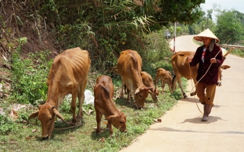 Đắk Nông: Gần 130 tỷ đồng hỗ trợ giảm nghèo năm 2025