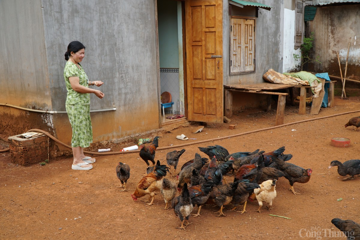 Đắk Nông: Gần 130 tỷ đồng hỗ trợ giảm nghèo năm 2025 Đắk Nông: Gần 130 tỷ đồng hỗ trợ giảm nghèo năm 2025