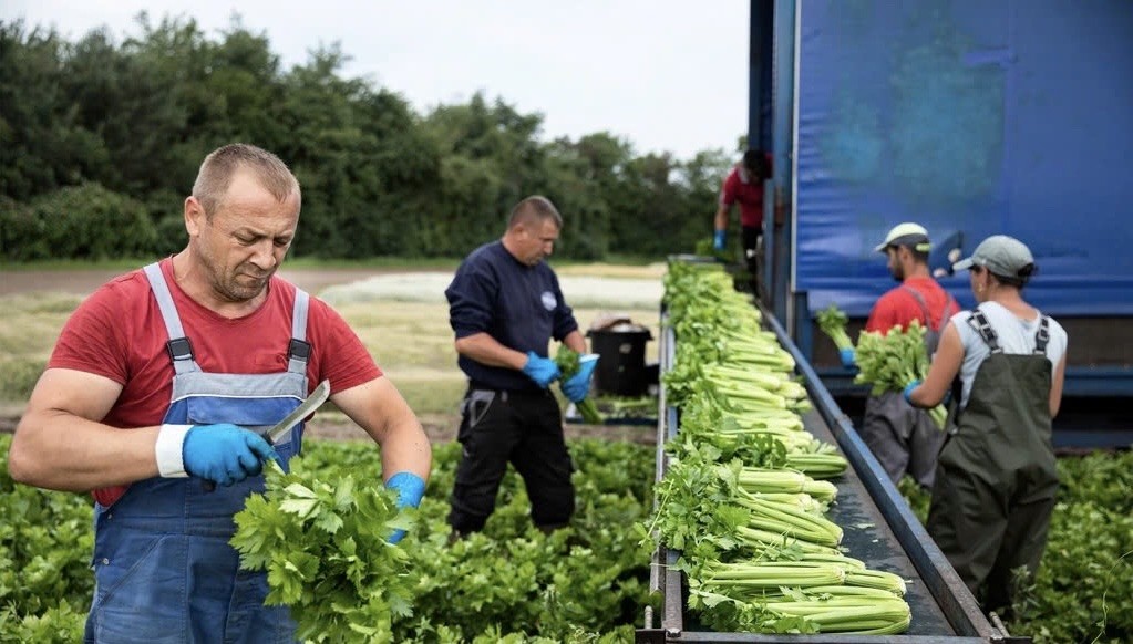 thị trường thực phẩm và đồ uống Đan Mạch đang chuyển mình mạnh mẽ theo hướng “thông minh - xanh - cá nhân hóa”, phản ánh những xu hướng tiêu dùng tiên tiến trên thế giới. Ảnh minh họa