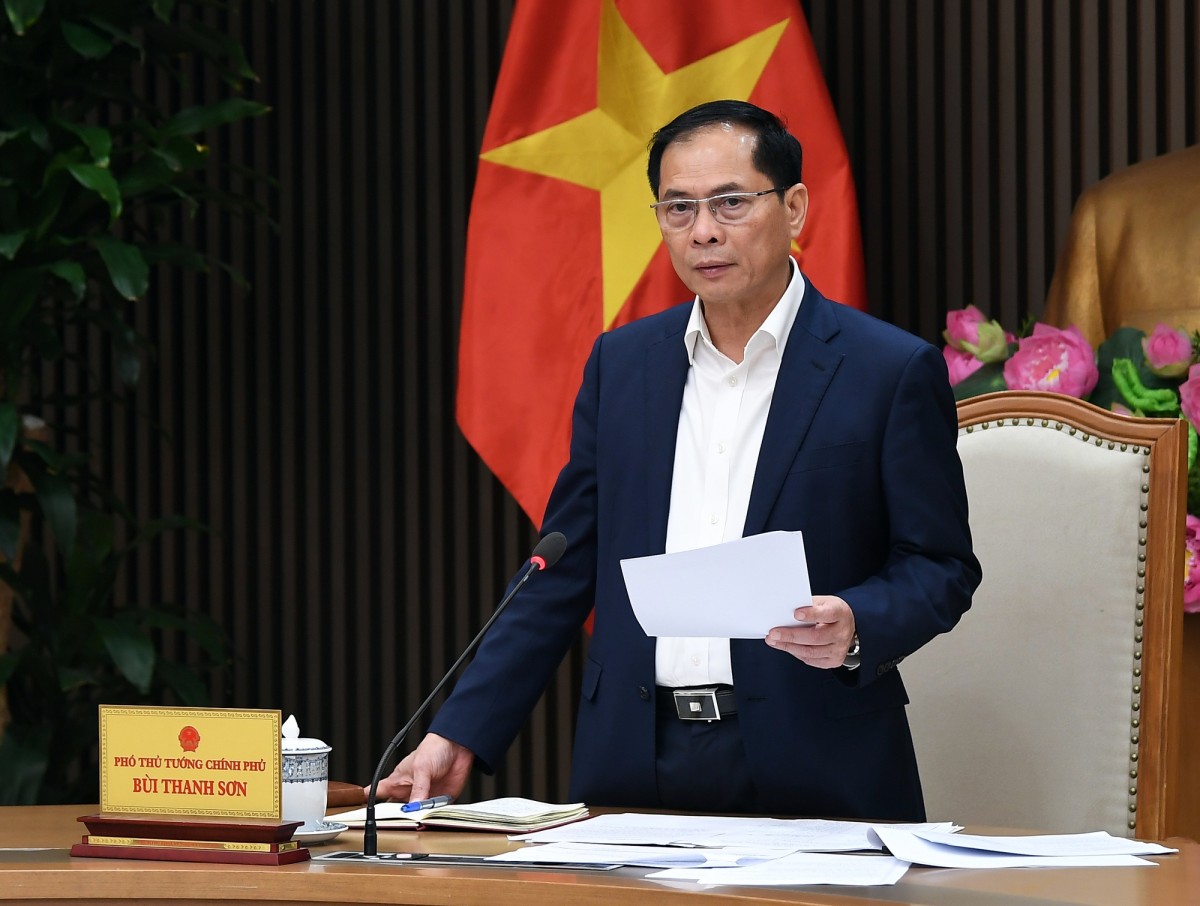 Phó Thủ tướng Chính phủ Bùi Thanh Sơn Phó Thủ tướng Chính phủ Bùi Thanh Sơn