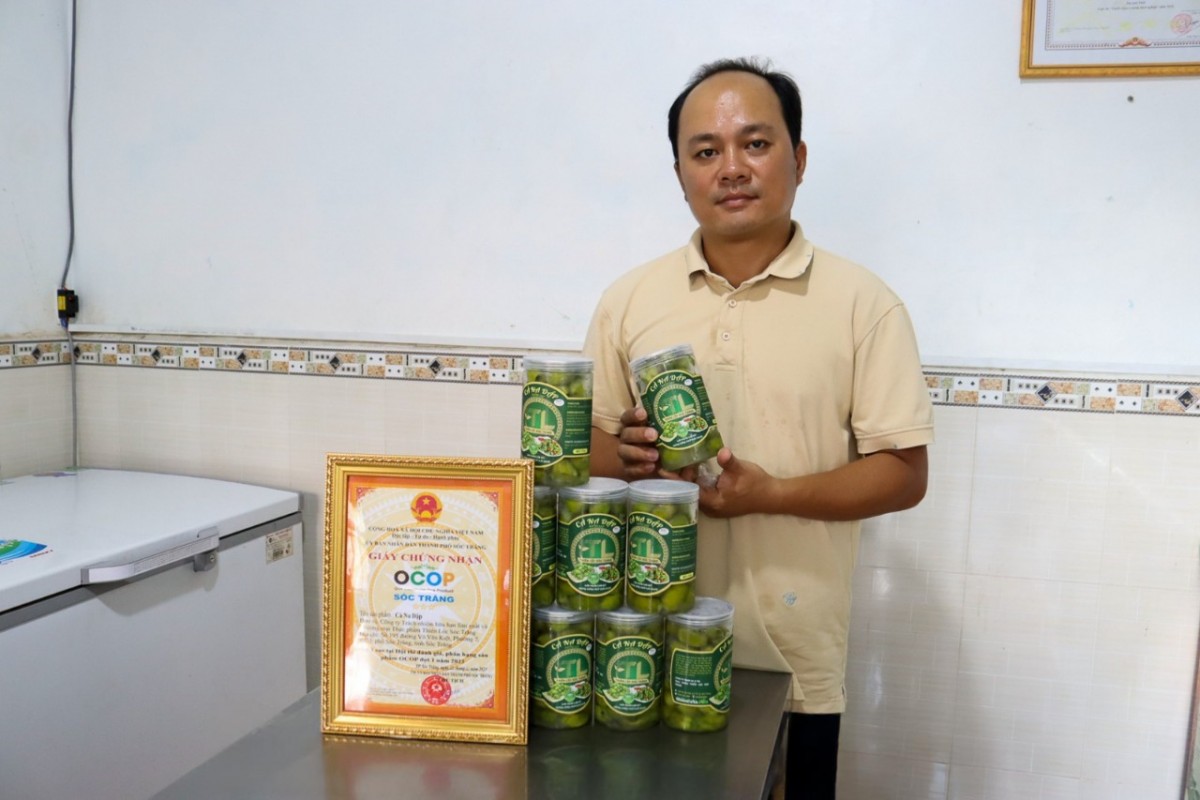 Sóc Trăng: Nâng tầm trái cà na qua chương trình OCOP Sóc Trăng: Nâng tầm trái cà na qua chương trình OCOP