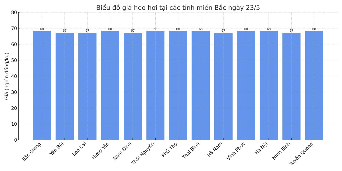 Biểu đồ giá heo hơi tại các tỉnh miền Bắc ngày 23/5.