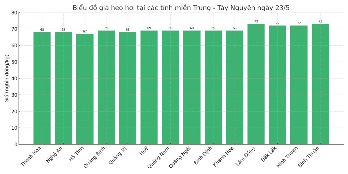 Biểu đồ giá heo hơi tại các tỉnh miền Trung - Tây Nguyên ngày 23/5.