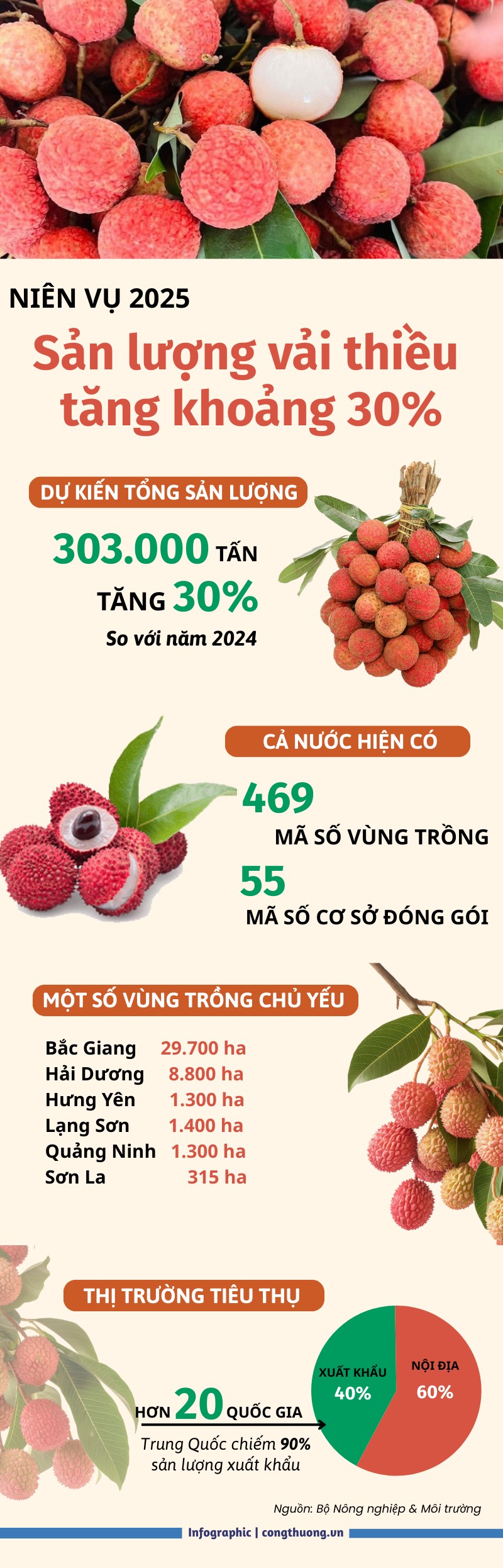Niên vụ 2025: Sản lượng vải thiều tăng khoảng 30%