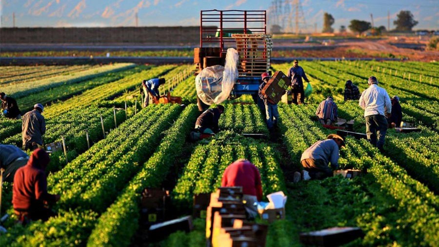 Gói cải cách mới của Liên minh châu Âu giúp nông dân tiết kiệm tới 1,58 tỷ euro mỗi năm. Ảnh minh họa