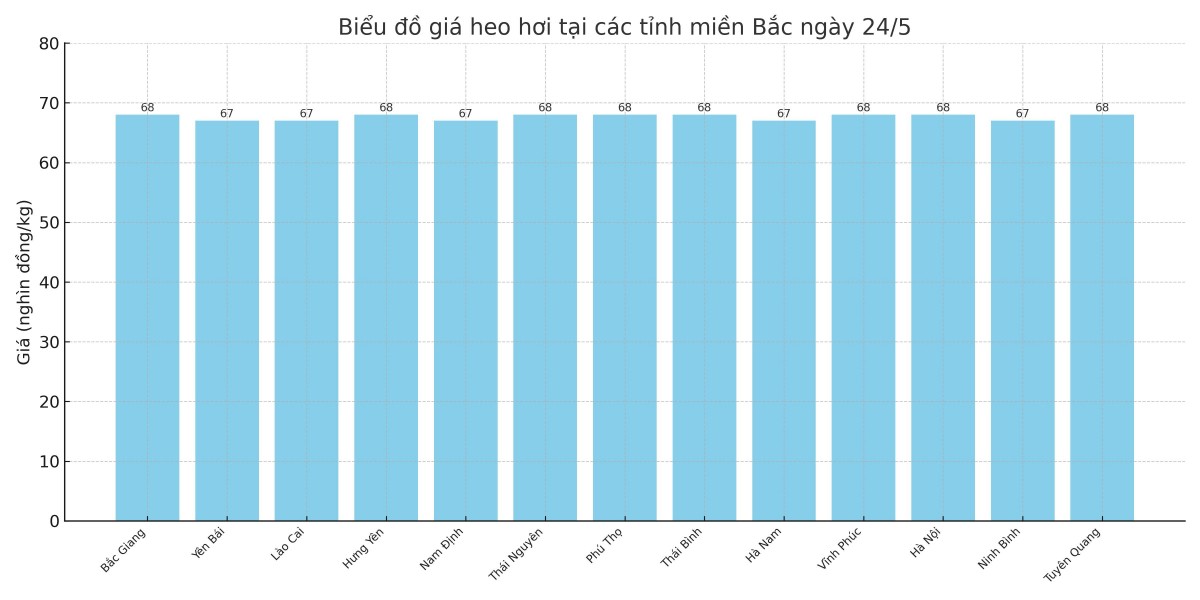 Biểu đồ giá heo hơi tại các tỉnh miền Bắc ngày 24/5.
