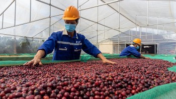 Kết nối hai miền, nâng tầm giá trị sản vật Đắk Lắk