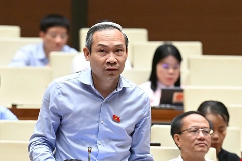 Phan Đức Hiếu