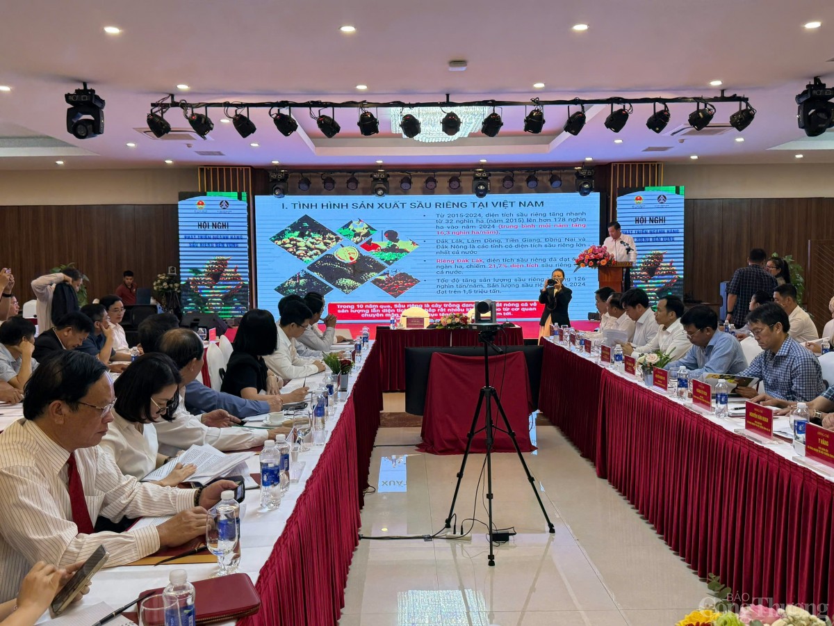 trái cây tỷ đô