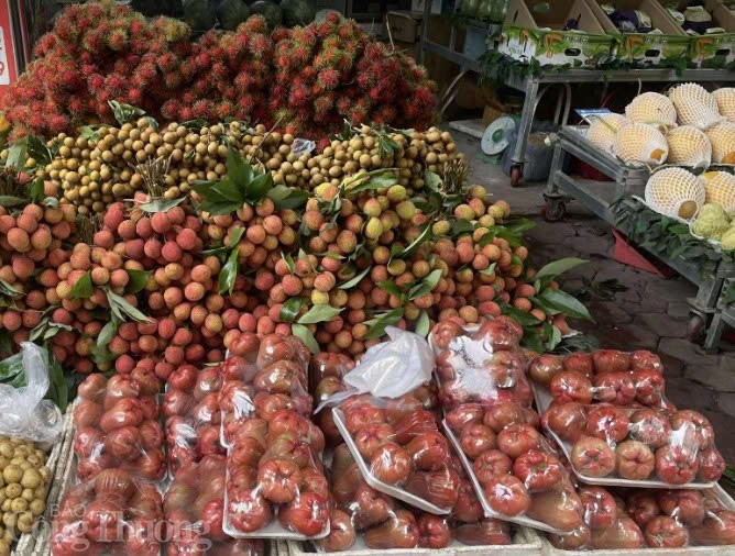 Vải đầu vụ giá cao, người dân ‘đau ví’ vẫn tìm mua Vải đầu vụ giá cao, người dân ‘đau ví’ vẫn tìm mua