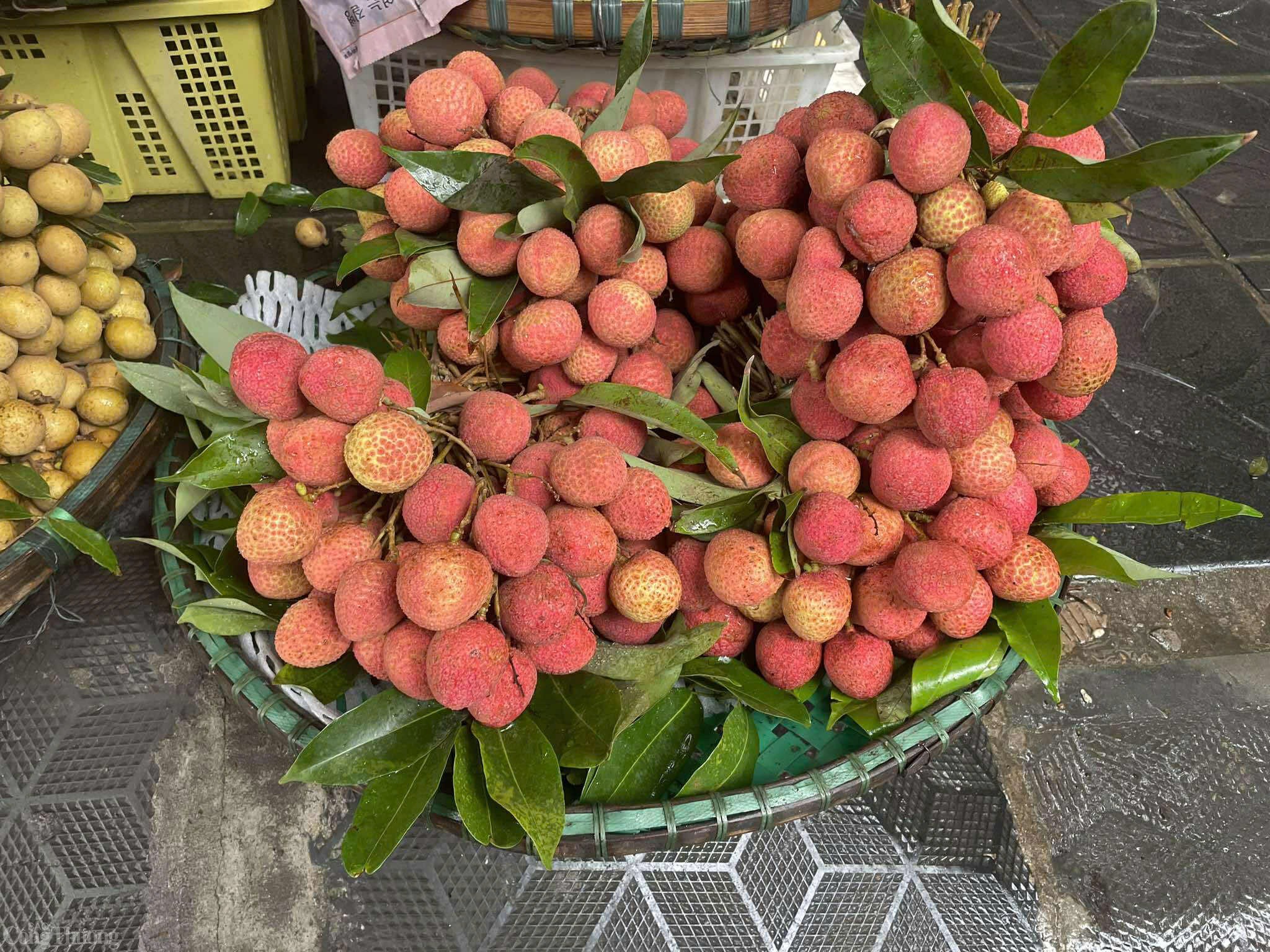 Vải đầu vụ giá cao, người dân ‘đau ví’ vẫn tìm mua Vải đầu vụ giá cao, người dân ‘đau ví’ vẫn tìm mua