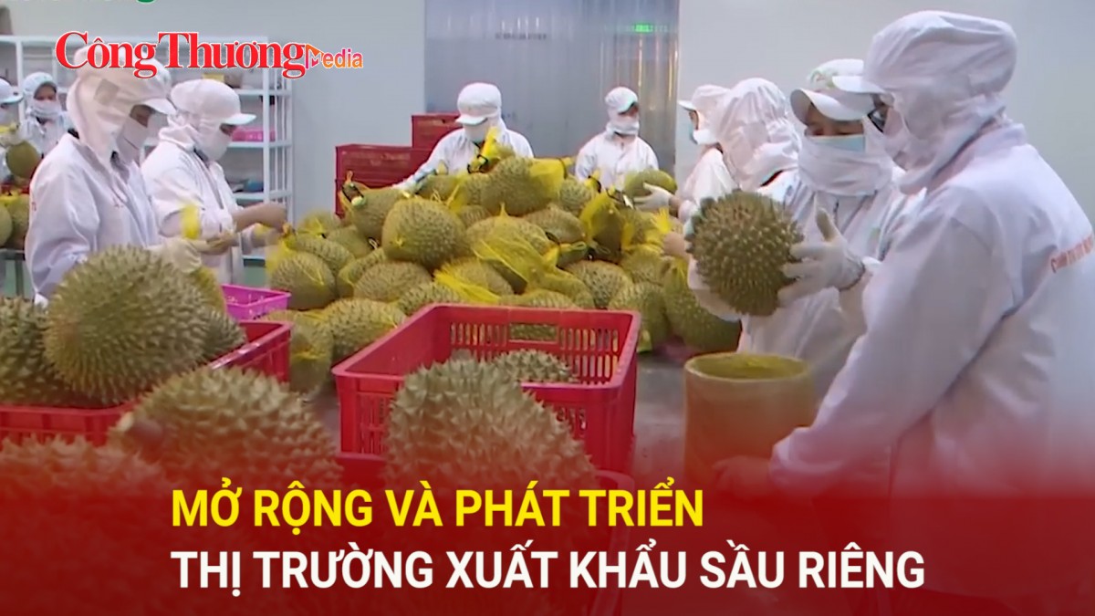 Mở rộng và phát triển thị trường xuất khẩu sầu riêng