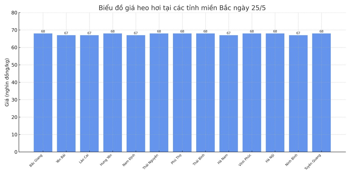 Biểu đồ giá heo hơi tại các tỉnh miền Bắc ngày 25/5. Biểu đồ giá heo hơi tại các tỉnh miền Bắc ngày 25/5.