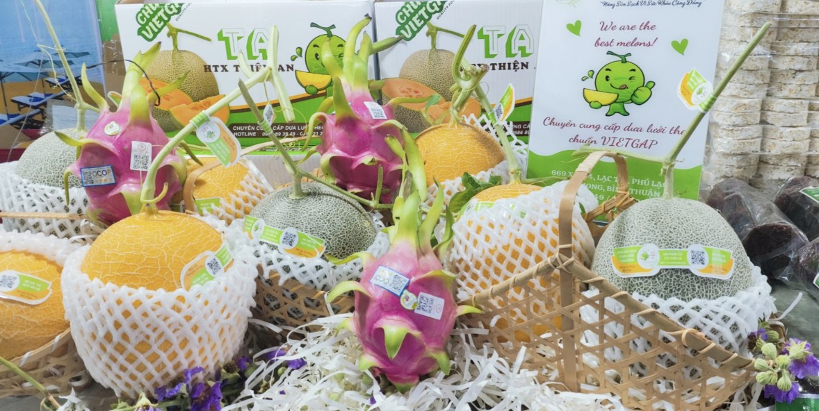 Xúc tiến thương mại mở lối cho dưa lưới công nghệ cao