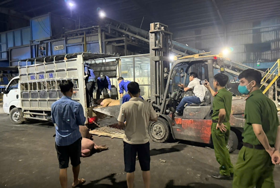 Vĩnh Phúc xử lý hơn 1 tấn thịt lợn không đảm bảoantoànthựcphẩm