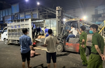 Vĩnh Phúc xử lý hơn 1 tấn thịt lợn không đảm bảo an toàn thực phẩm