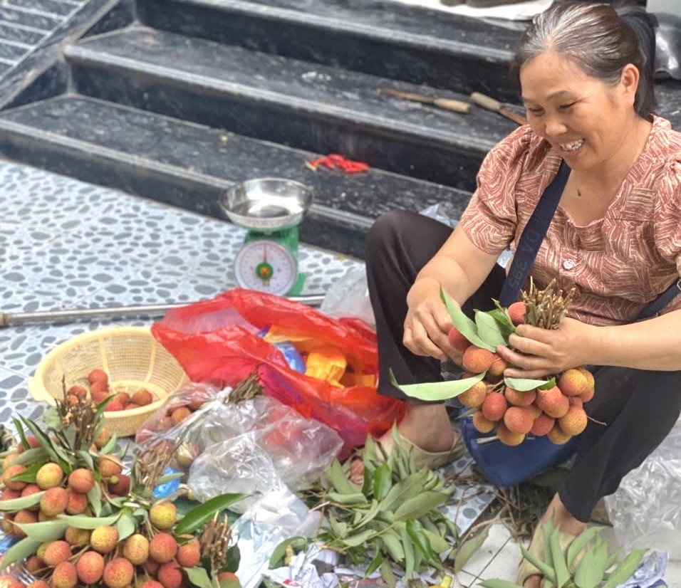 Vải u đầu mùa giá cao vẫn hút khách Vải u đầu mùa giá cao vẫn hút khách