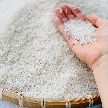 Tin Công Thương 26/5: Đầu tuần, giá xuất khẩu gạo ổn định