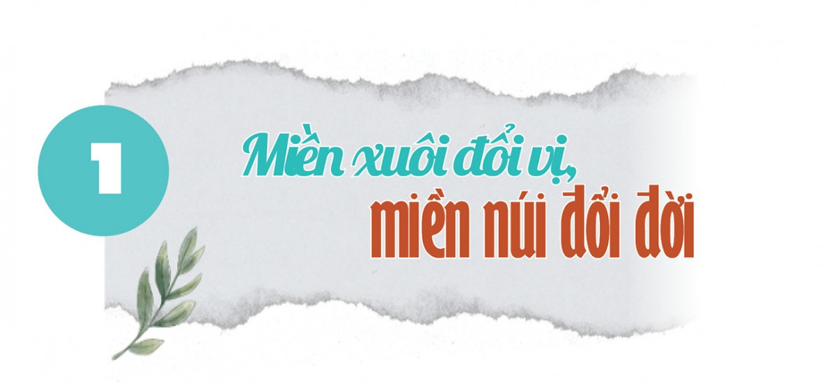 Longform | Nông sản miền núi chinh phục người tiêu dùng miền xuôi Longform | Nông sản miền núi chinh phục người tiêu dùng miền xuôi