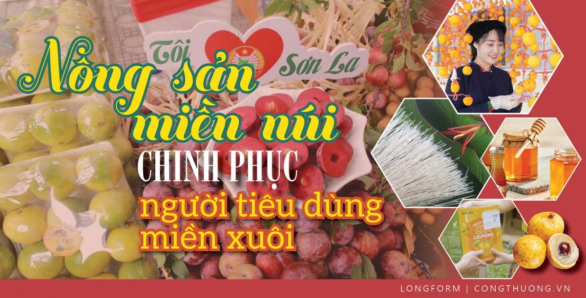 Longform | Nông sản miền núi chinh phục người tiêu dùng miền xuôi
