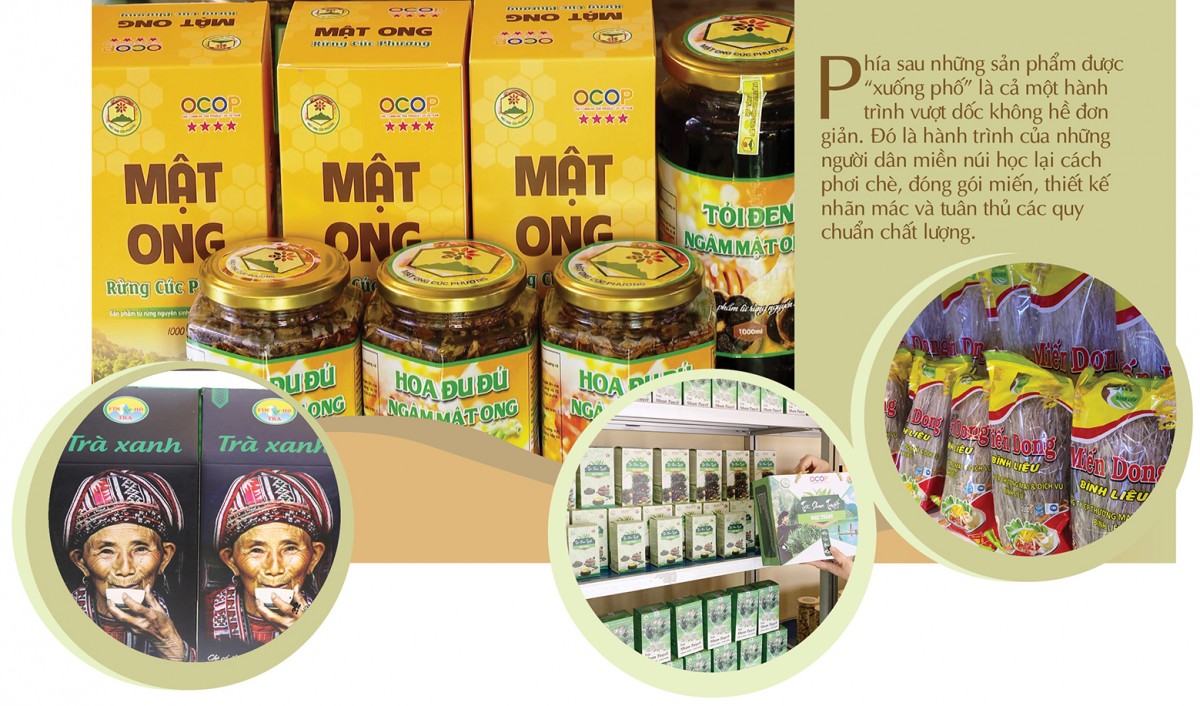 Longform | Nông sản miền núi chinh phục người tiêu dùng miền xuôi