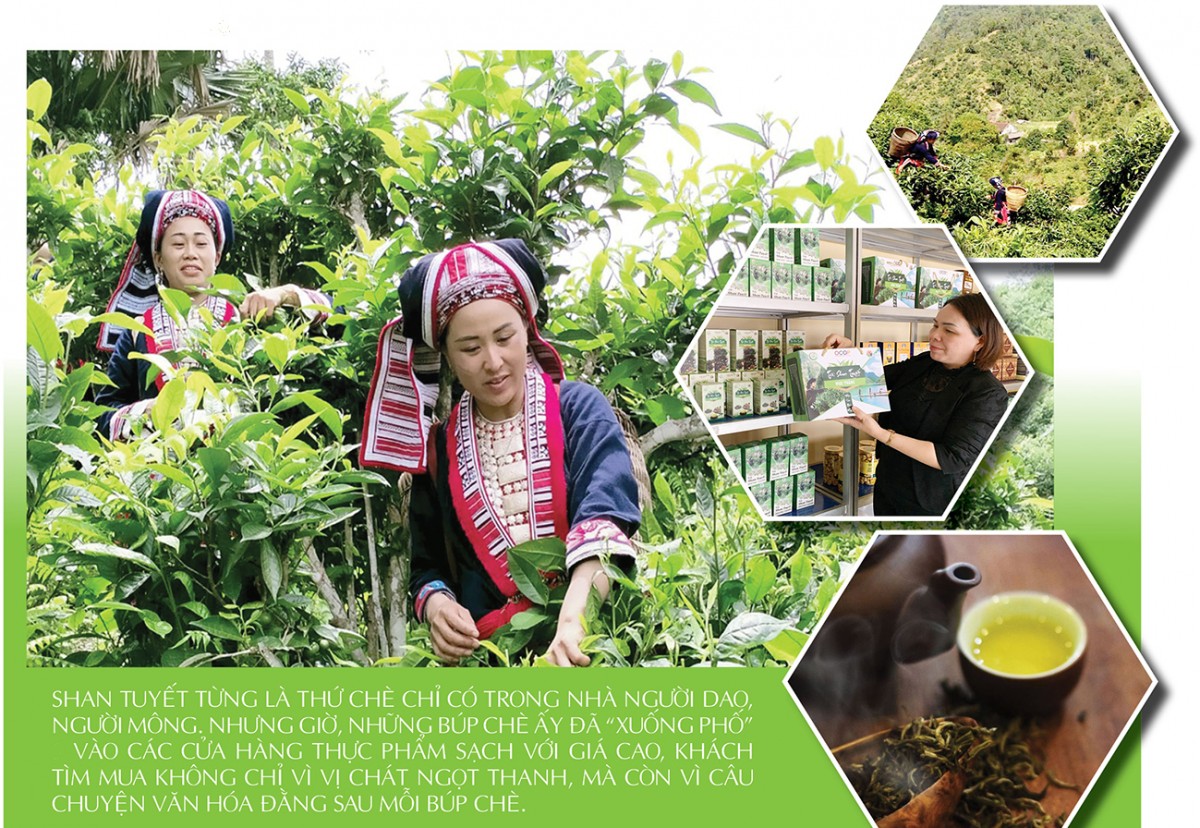 Longform | Nông sản miền núi chinh phục người tiêu dùng miền xuôi