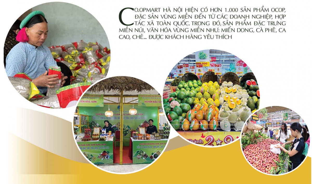 Longform | Nông sản miền núi chinh phục người tiêu dùng miền xuôi